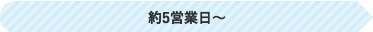 約5営業日～